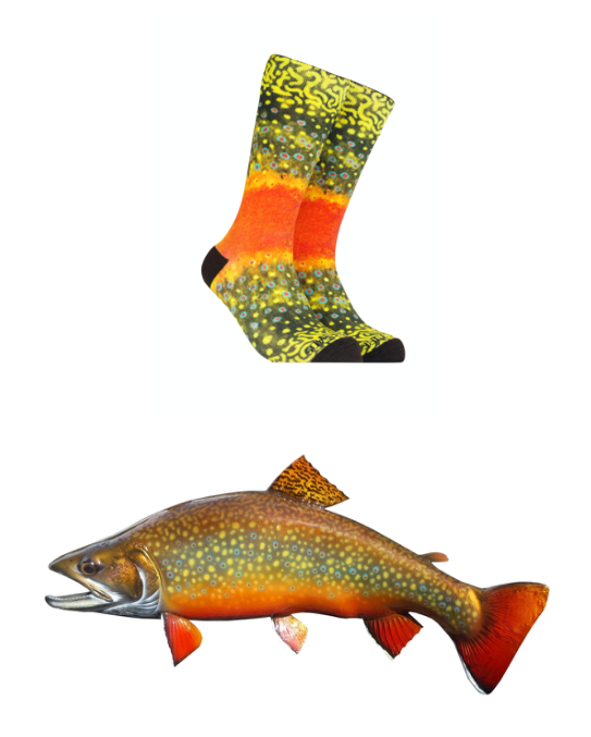 Brook Trout Socks - Fish Patterned Clothing- Gifts for Anglers