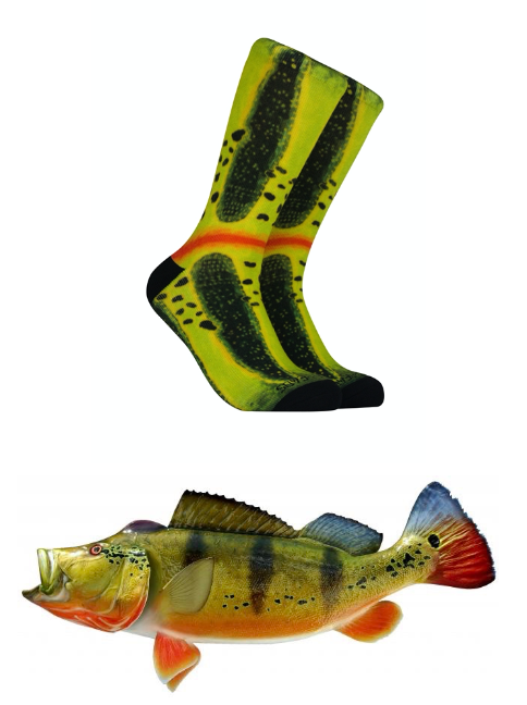 Peacock Bass Fish Socks – FishSox